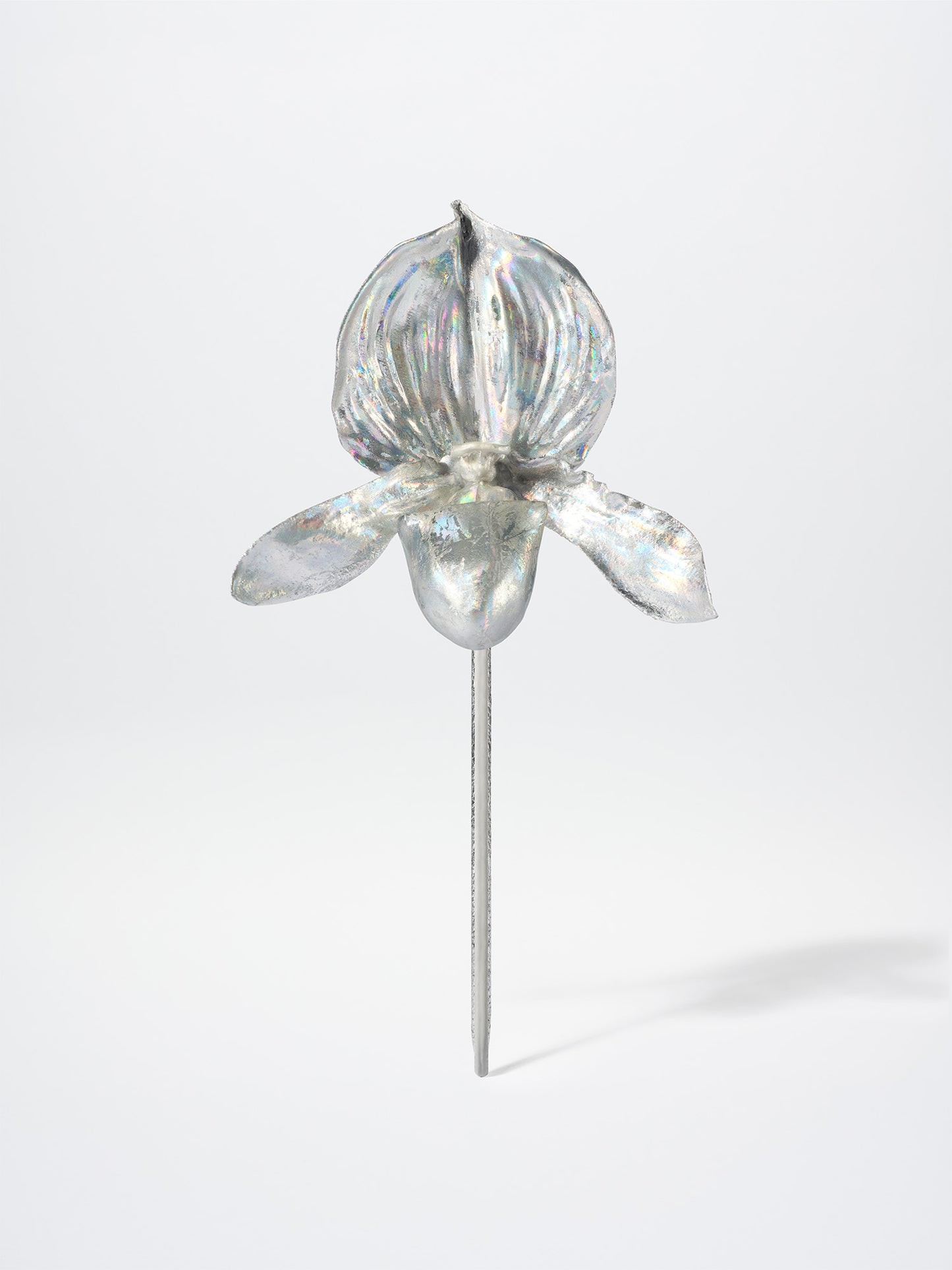 LADY SLIPPER BOUTONNIERE