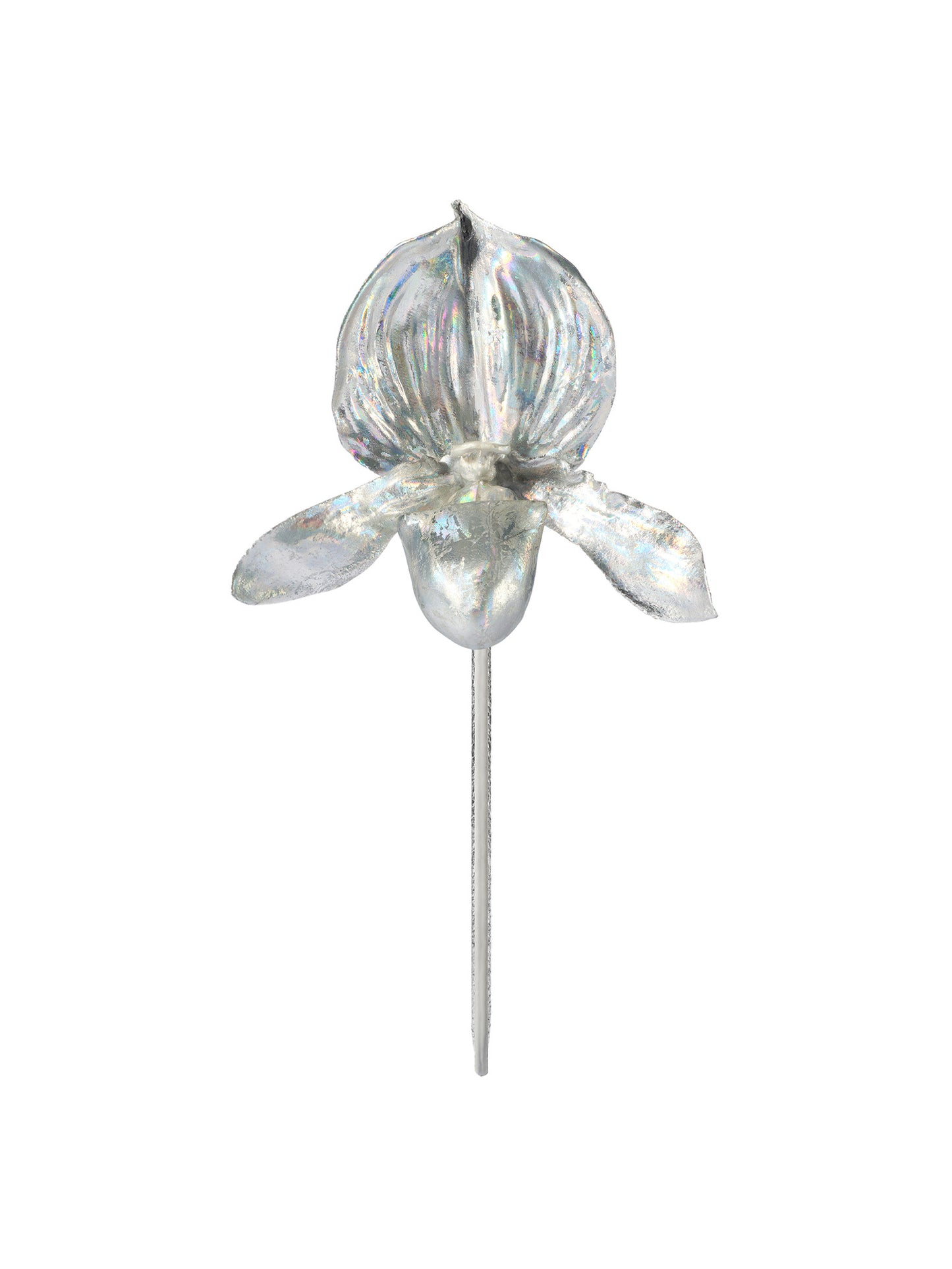 LADY SLIPPER BOUTONNIERE