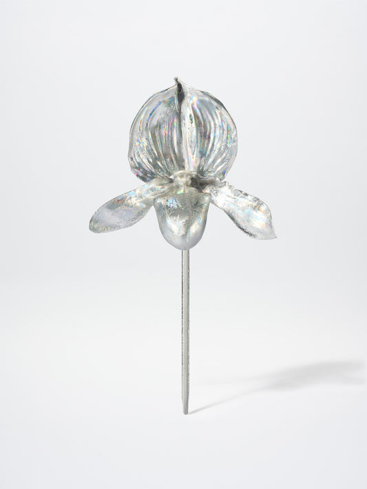 LADY SLIPPER BOUTONNIERE