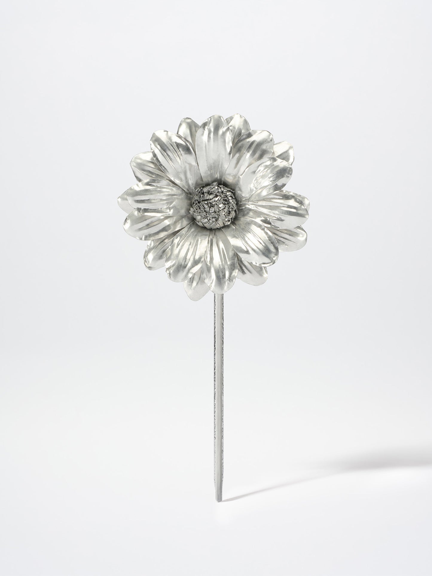 DAISY BOUTONNIERE
